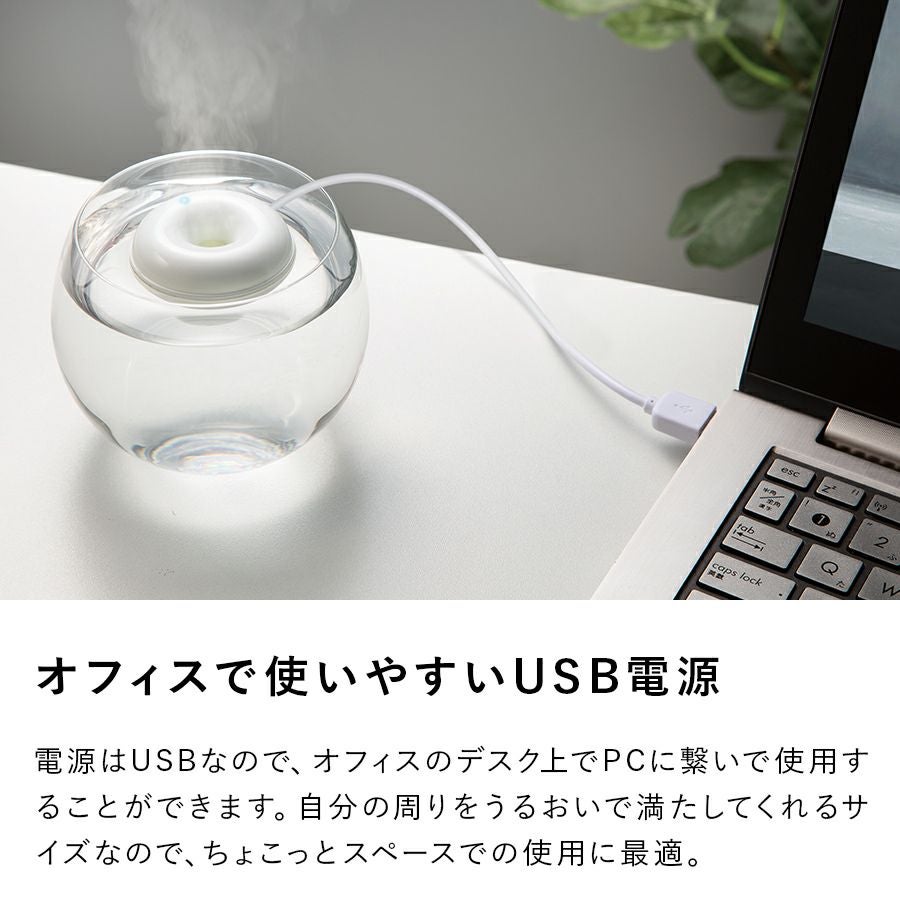PB-T1951 ポータブル加湿器 macaron (マカロン) | THREEUP公式