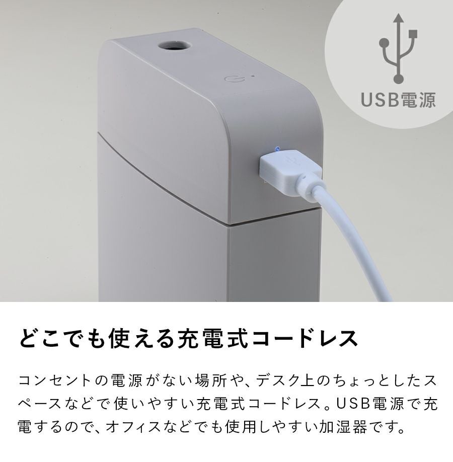 【土日限定価格】美品 RHA T20 付属品完備 【フィルター3種付】 加湿器 抗菌気化フィルター H060518 | ダイニチWebShop